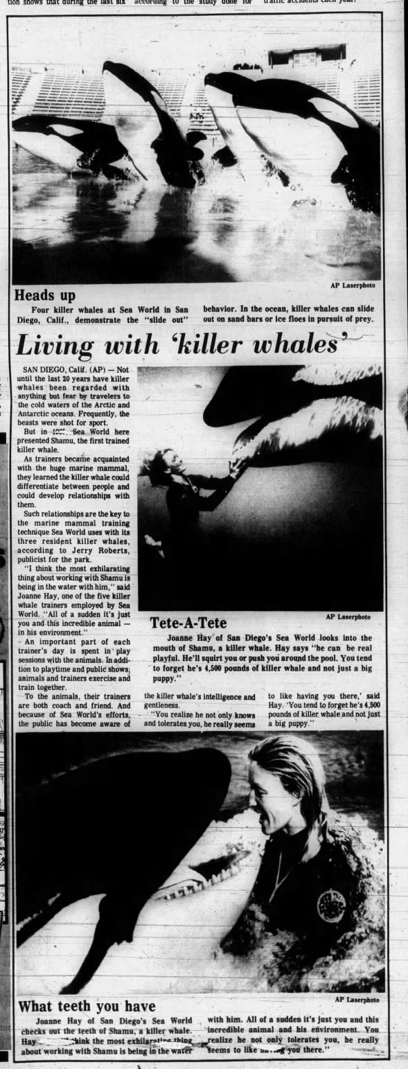 Clipping from The Muscatine Journal